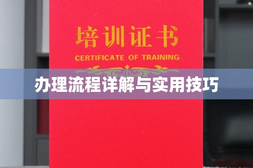 郫县办理流程详解与实用技巧